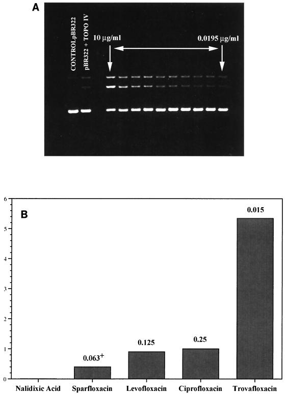 FIG. 3