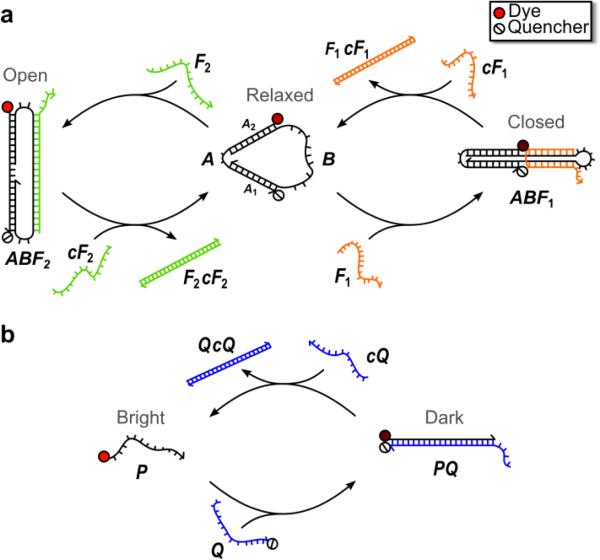 Fig. 1