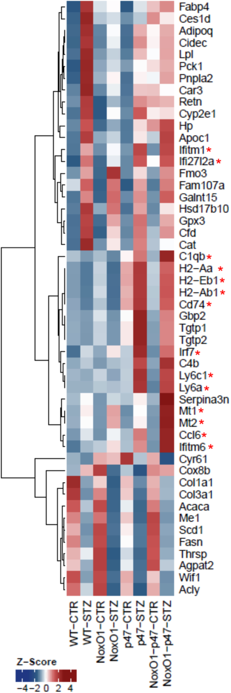 Fig. 6