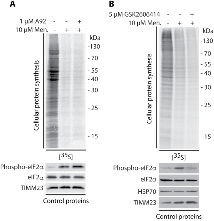 FIGURE 4: