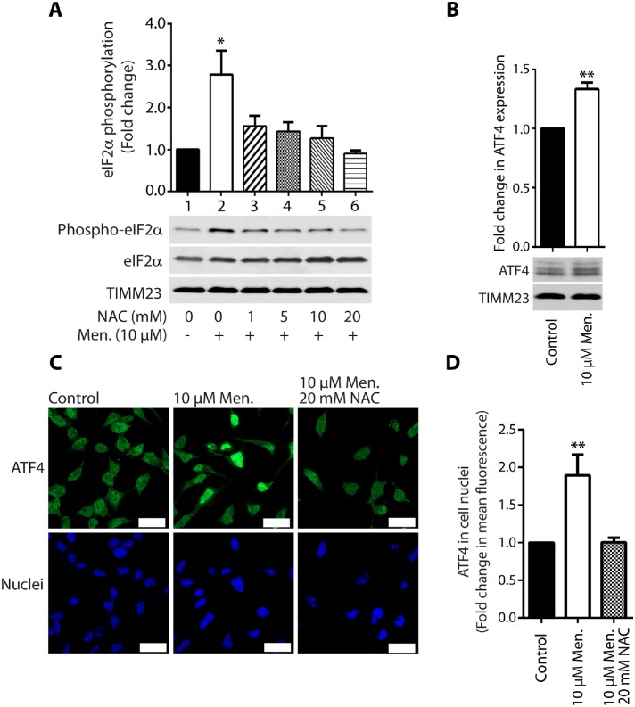 FIGURE 3: