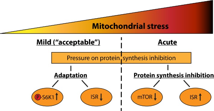 FIGURE 10: