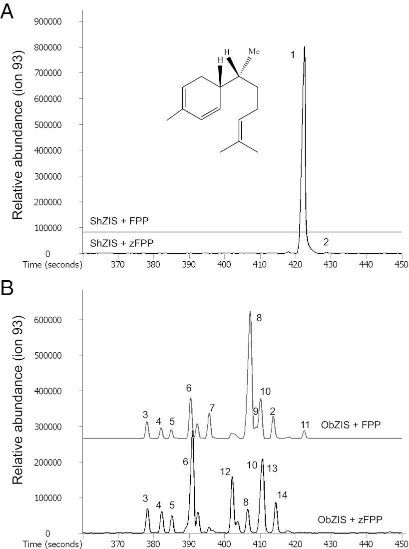 Fig. 2.