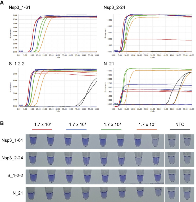 Supplemental Figure S1