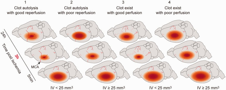Figure 7.