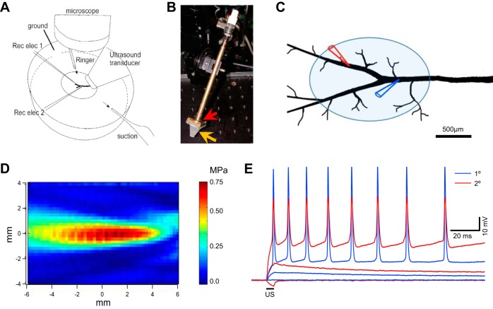 Fig. 1.