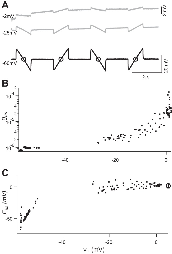 Fig. 7.