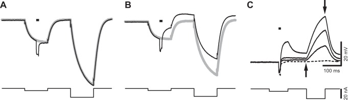 Fig. 6.