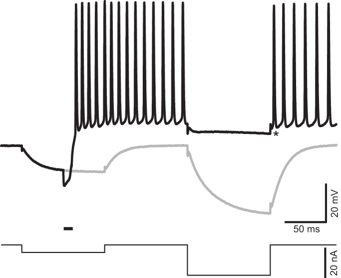 Fig. 5.