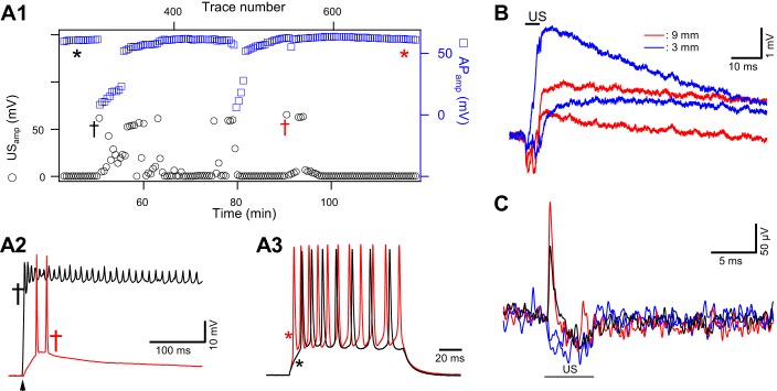 Fig. 2.