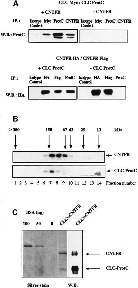 graphic file with name cde173f4.jpg