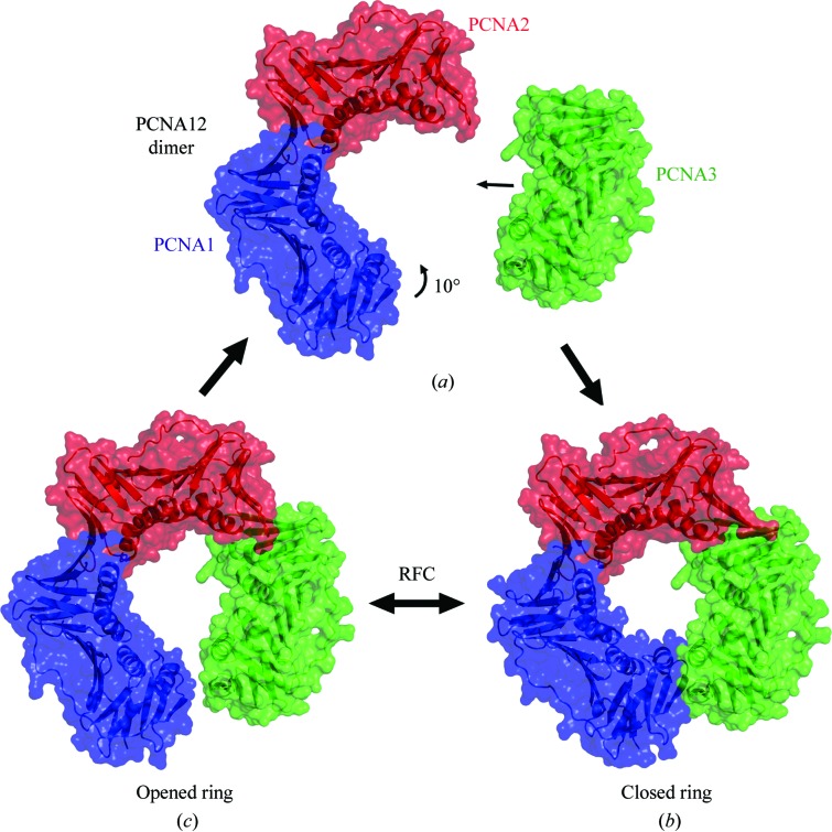 Figure 7