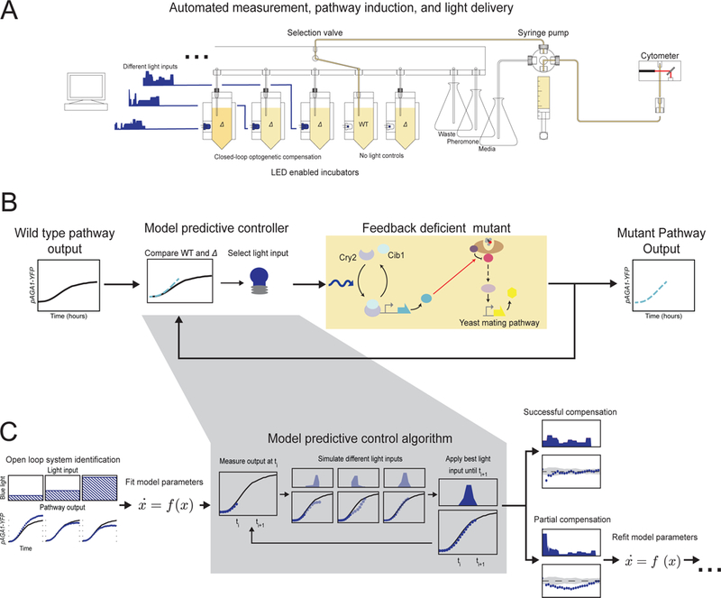 Figure 2 |