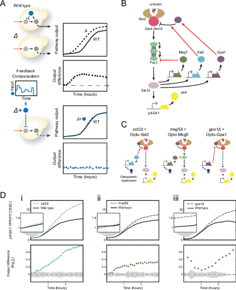 Figure 1 |