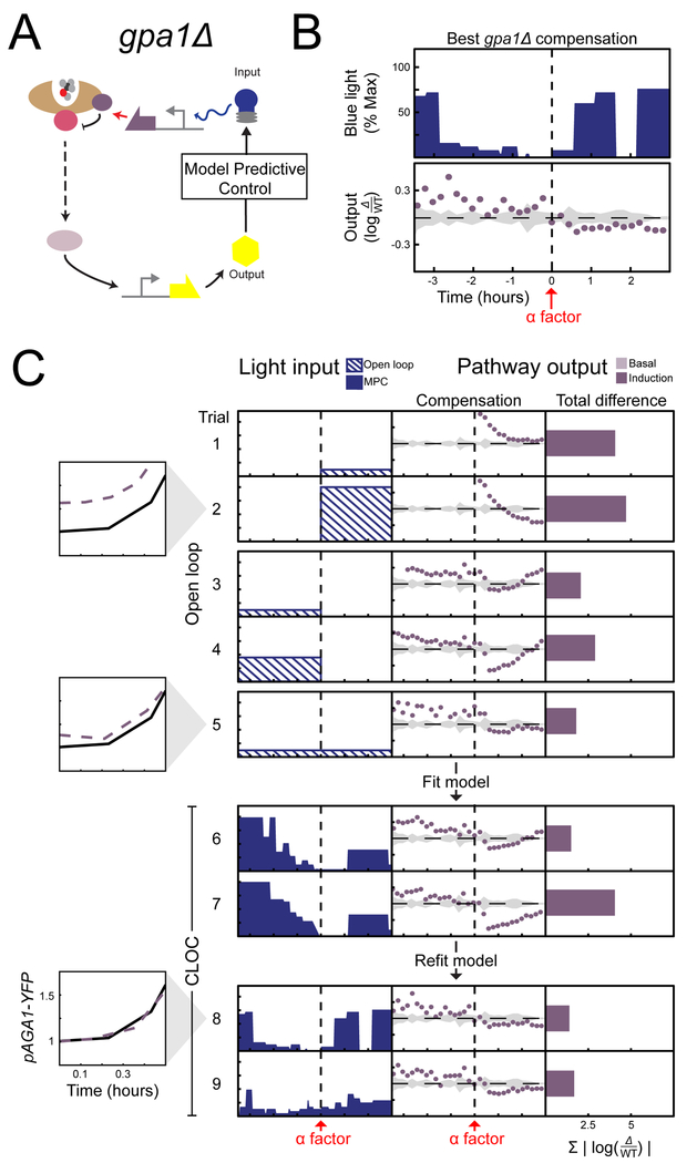 Figure 5 |