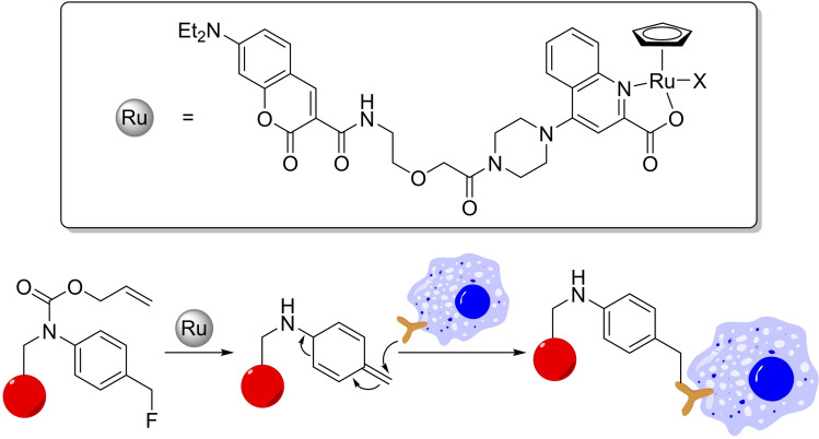 Scheme 15