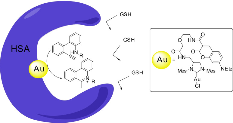 Scheme 8