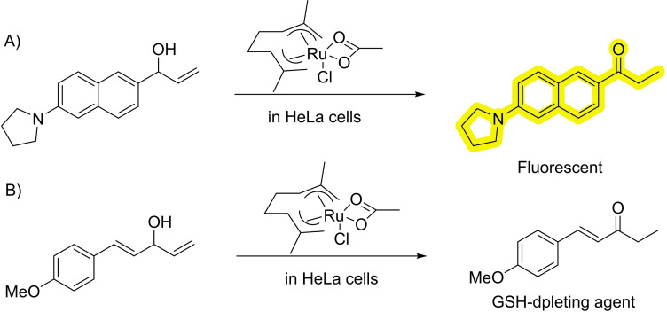 Scheme 20