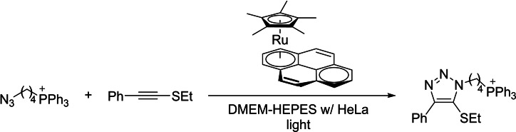 Scheme 5