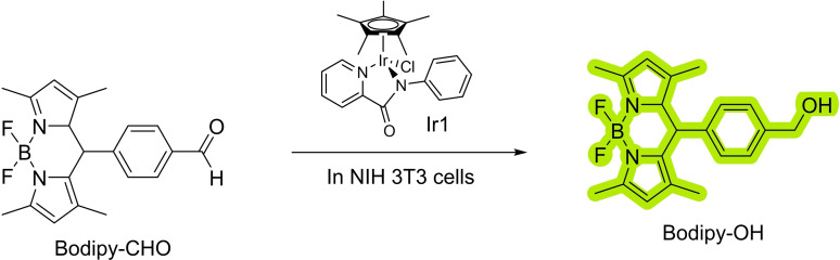 Scheme 24