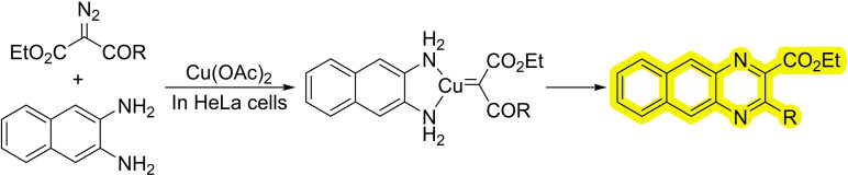 Scheme 25