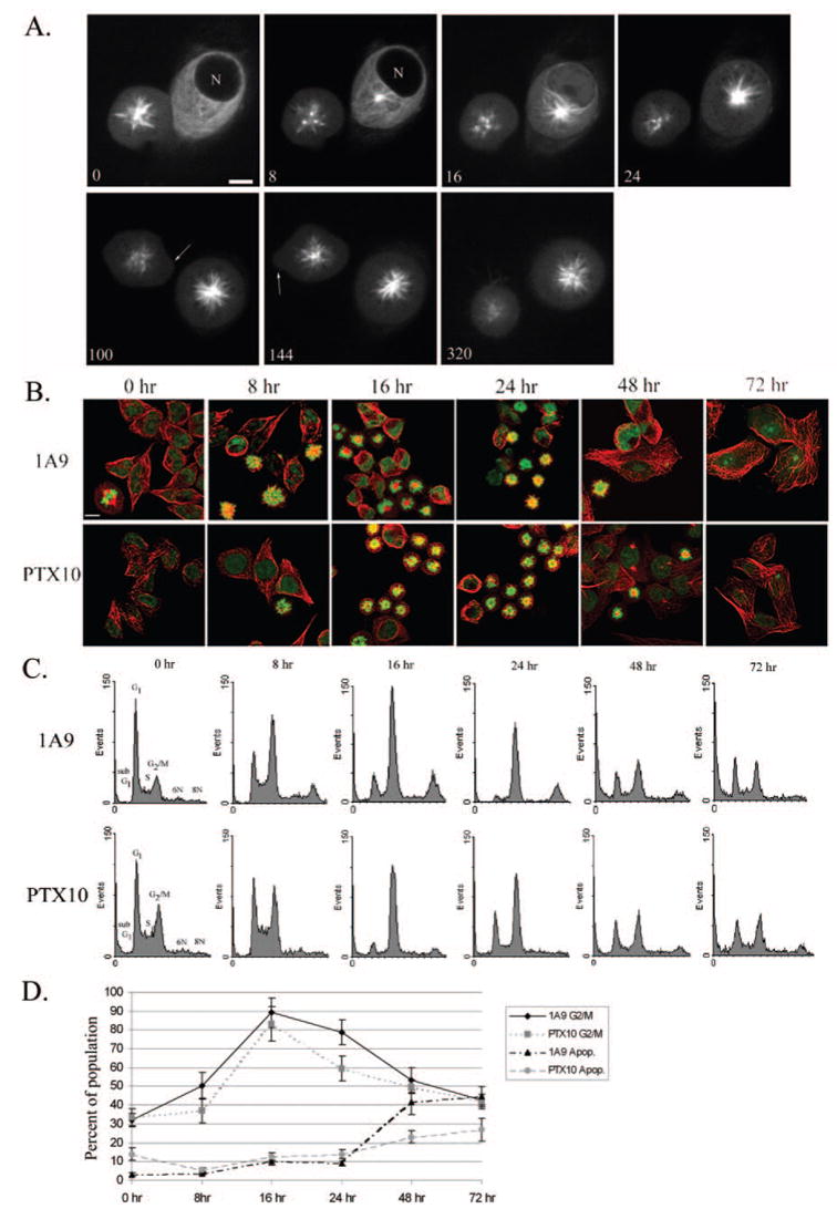 Fig. 3