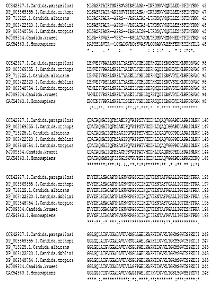 Figure 3.