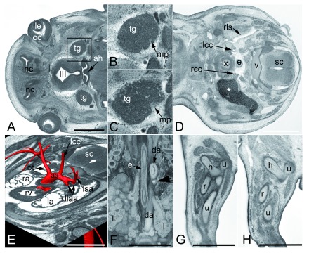 Figure 9. 