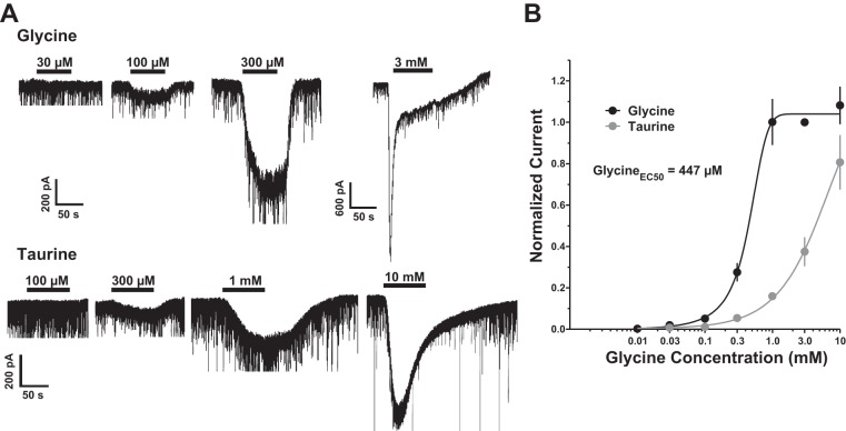 Fig. 6.