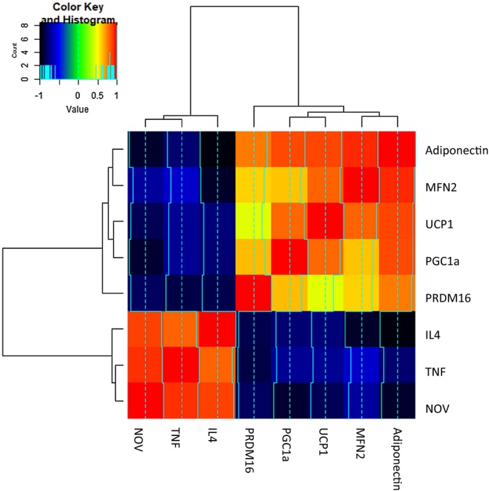 Figure 6