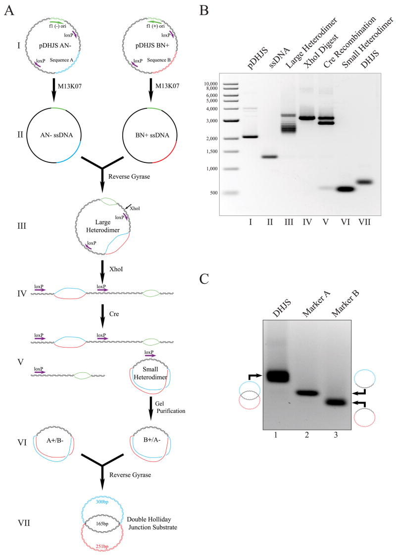 FIGURE 2