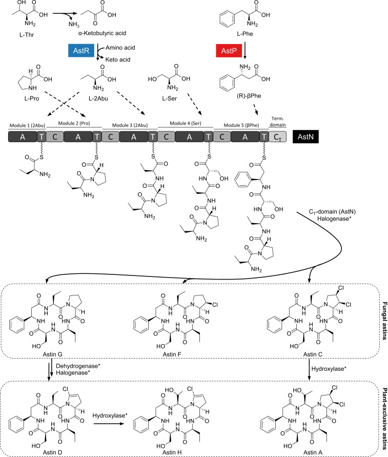 Fig. 3.