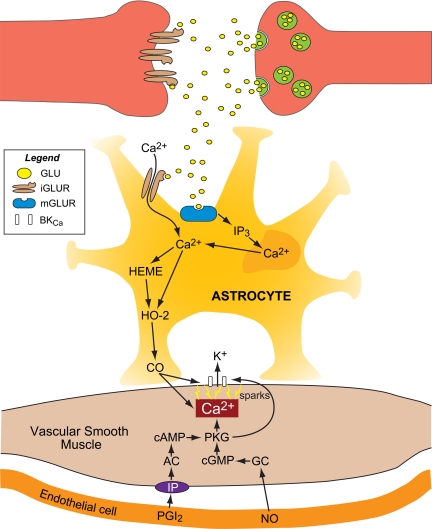 Fig. 3.