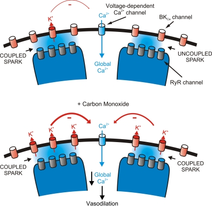 Fig. 2.