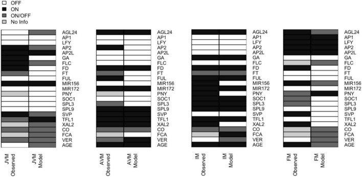 FIGURE 4