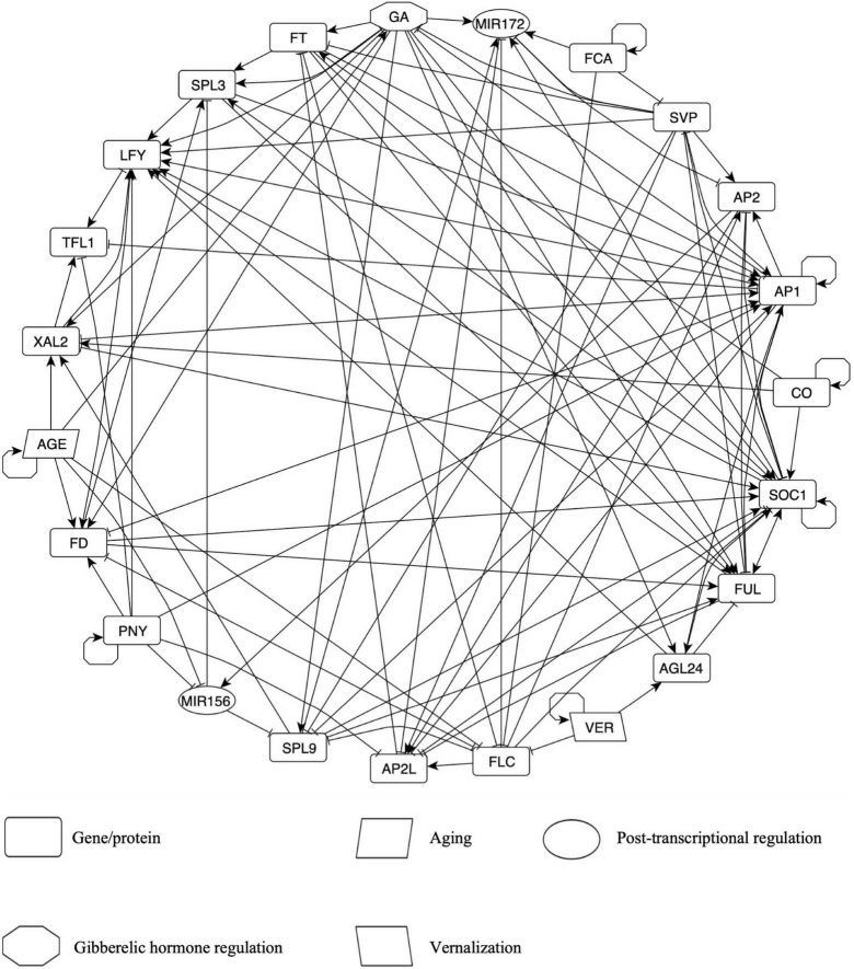 FIGURE 2