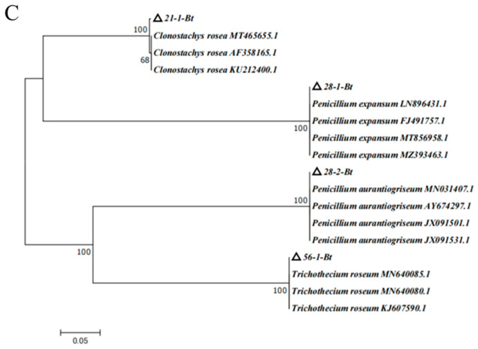 Figure 6