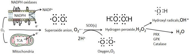 Fig. 3