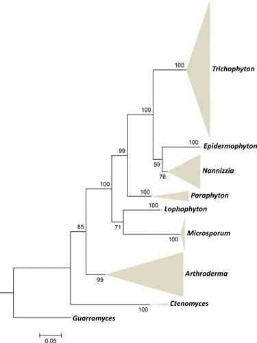 FIGURE 2