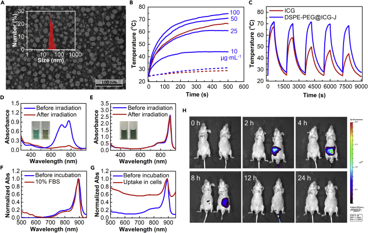 Figure 2