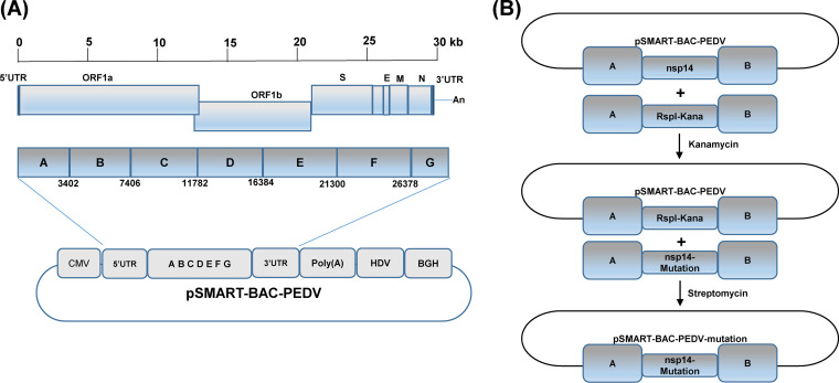 FIG 6