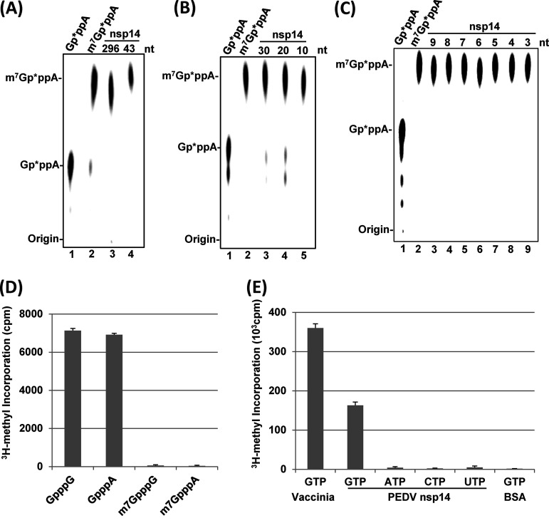 FIG 2