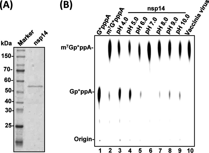 FIG 1