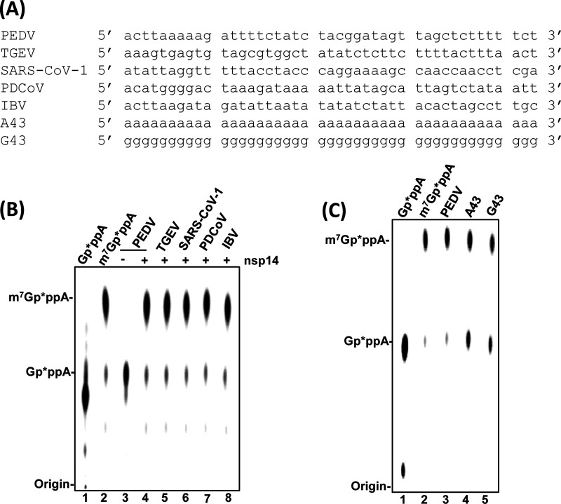 FIG 4