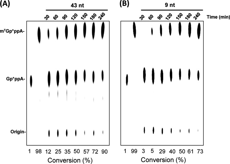 FIG 3