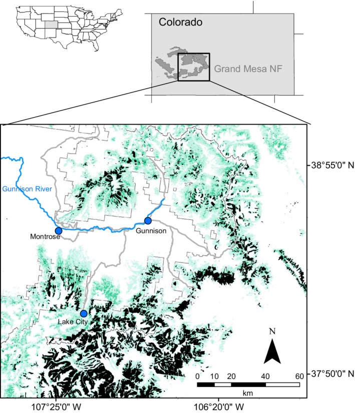 FIGURE 2