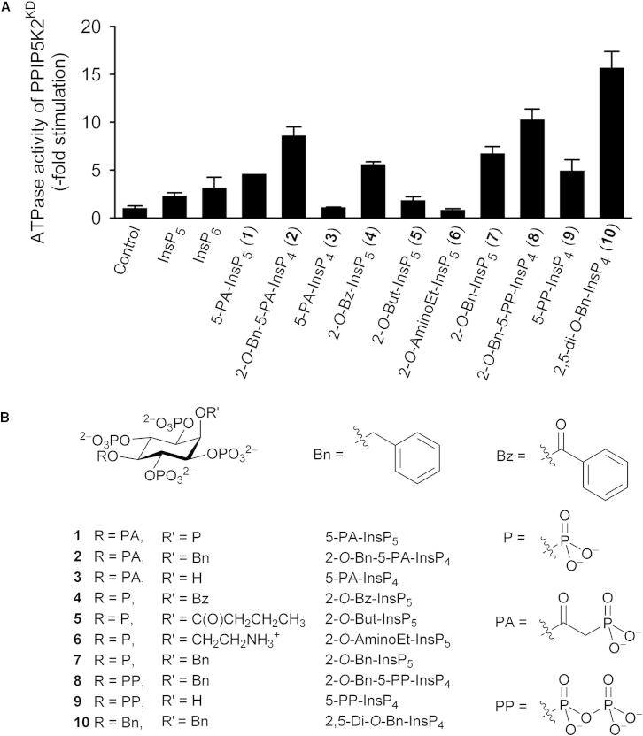 Figure 2