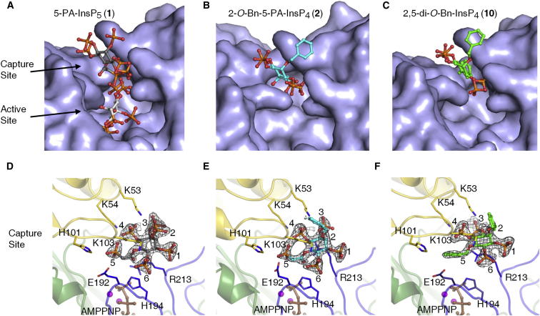 Figure 5