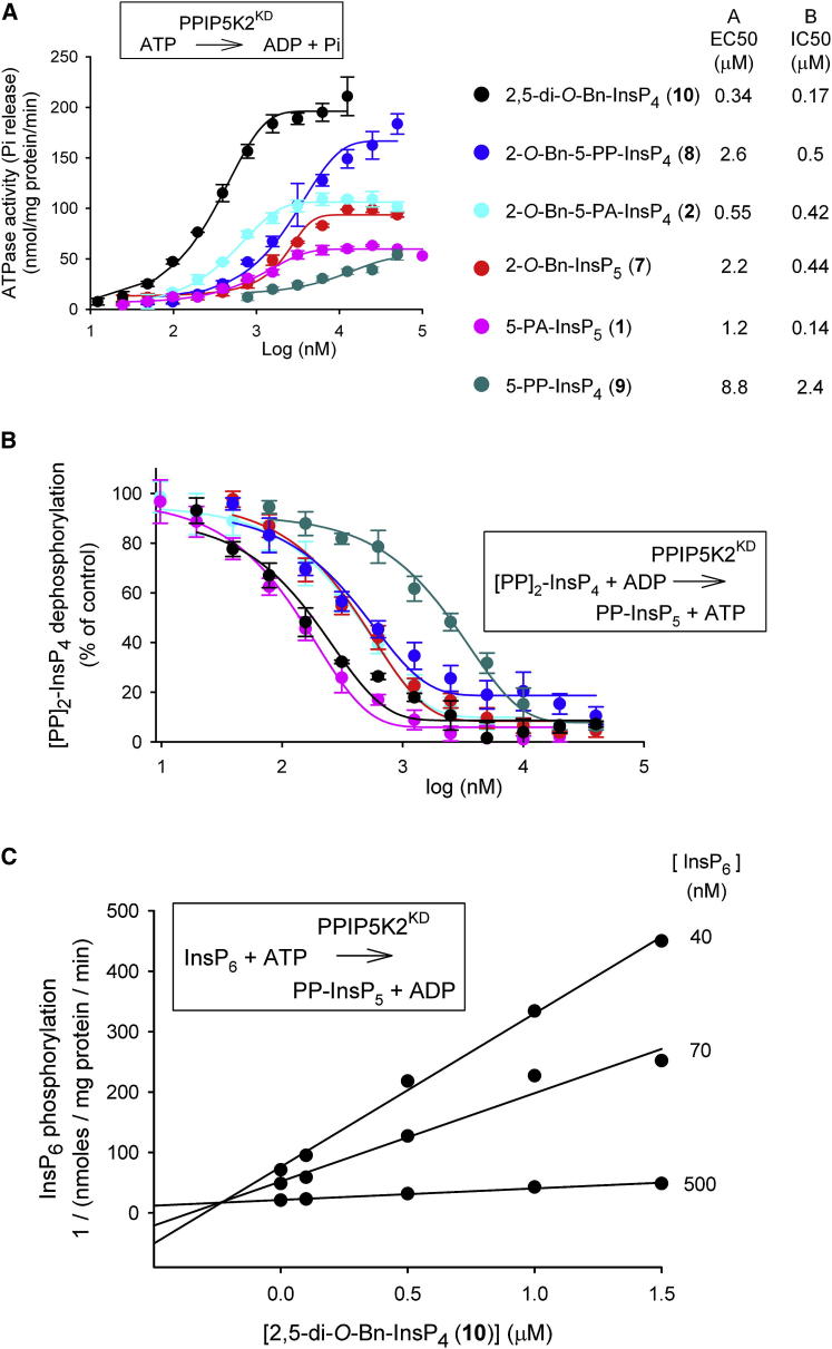 Figure 4