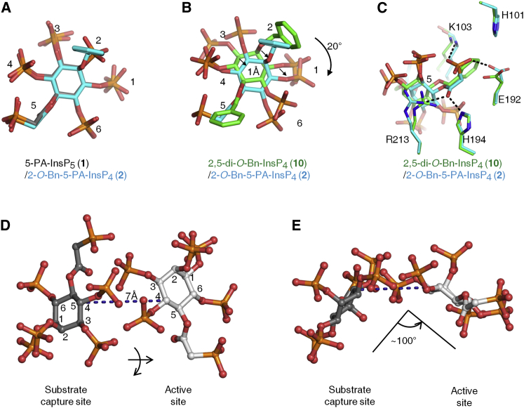 Figure 6